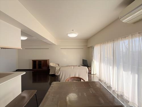 LD（2026年1月撮影）