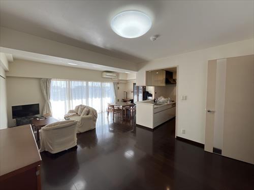 LD（2026年1月撮影）