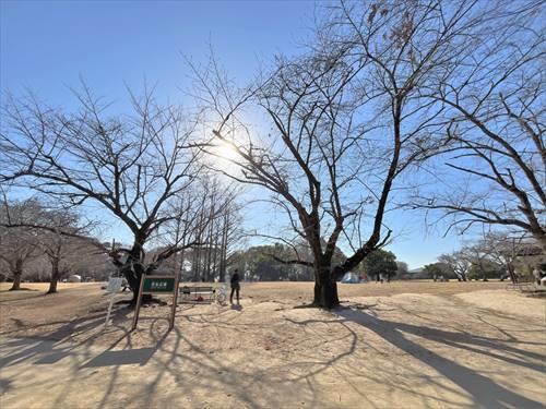 市民の森・見沼グリーンセンター‐870m