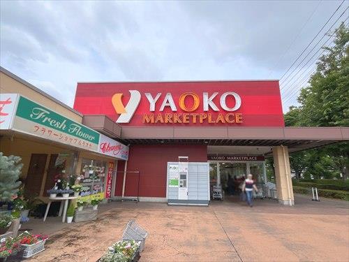 ヤオコー新白岡店-960m