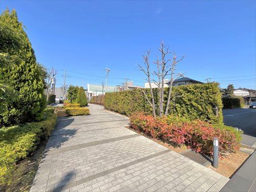 アプローチ‐2026年3月撮影