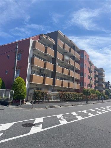 現地写真（2026年5月撮影）