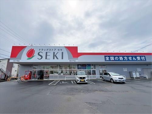 ドラッグストアセキ東大門まで約900ｍ