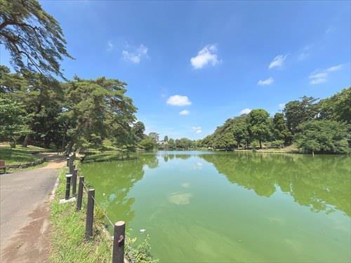 大宮公園-450m
