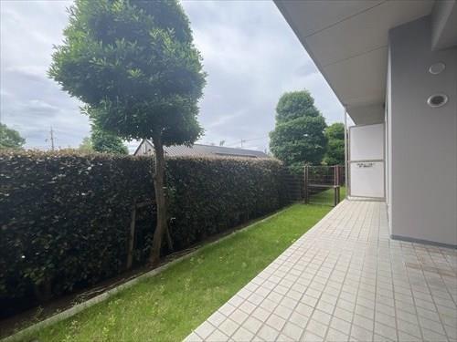 専用庭（R8年6月撮影）