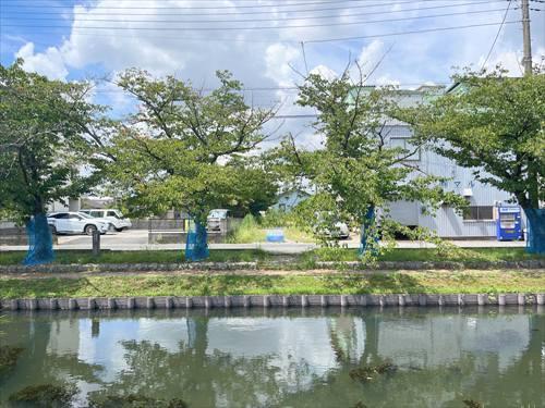 現地（東側）‐2026年8月撮影