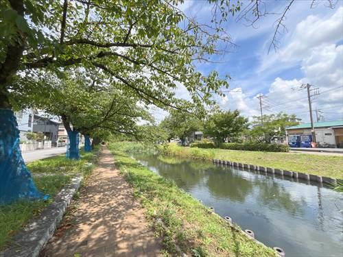 現地東側の用水路・歩道