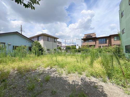 現地‐2026年8月撮影