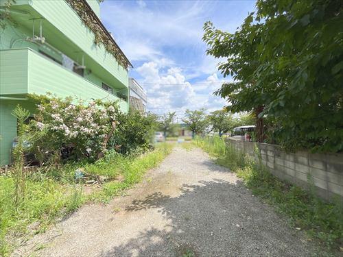 現地‐2026年8月撮影