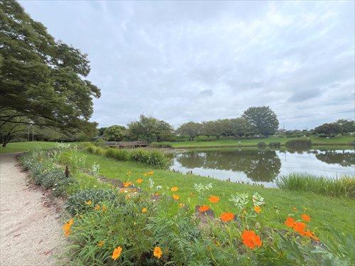 西城沼公園-810m