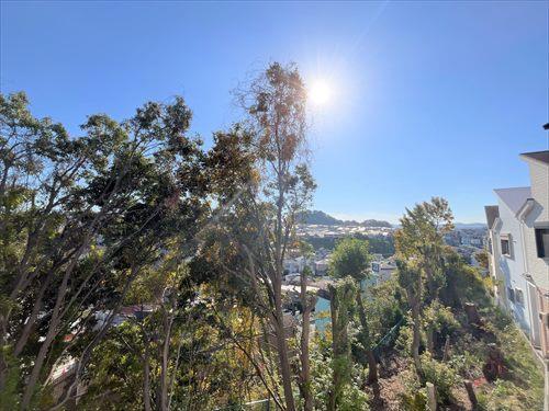 バルコニーからの眺望　令和7年11月撮影