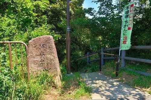 坪呑公園まで680m