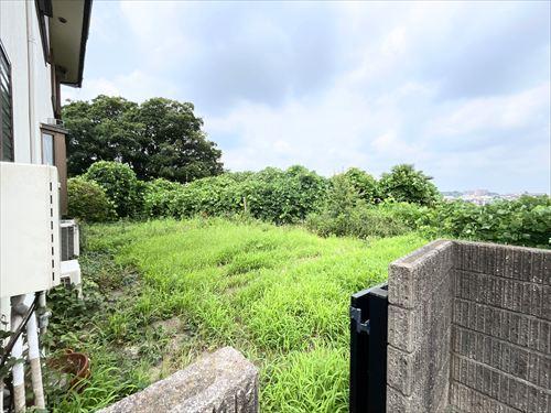 現地写真(2026年7月撮影)