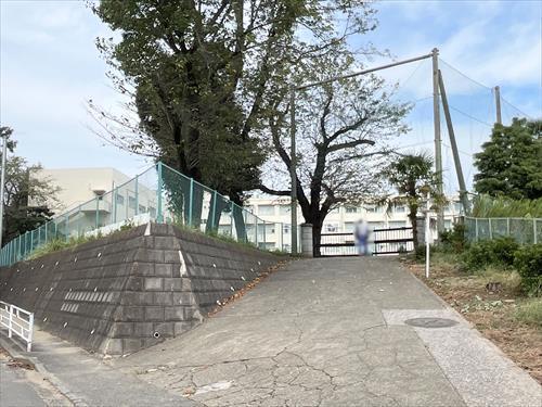 横浜市立常盤台小学校まで1200m