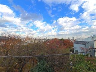 西側バルコニーからの眺望