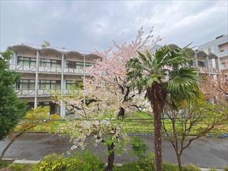 バルコニーからの眺望 バルコニーからの眺望