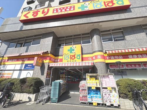 どらっぐぱぱす西馬込店680m
