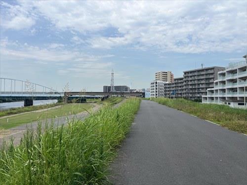 多摩川河川敷2