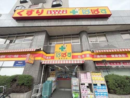 どらっぐぱぱす西馬込店　徒歩6分