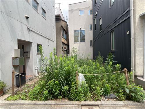 現地：2026年8月撮影