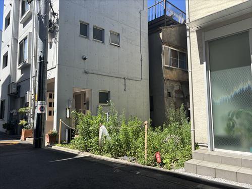 現地：2026年8月撮影
