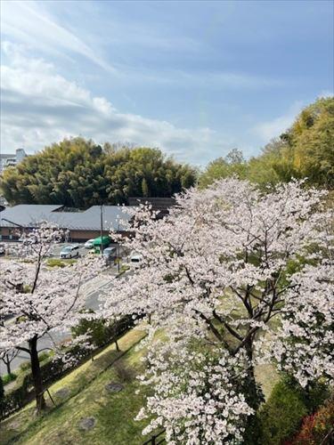 バルコニーからの眺望