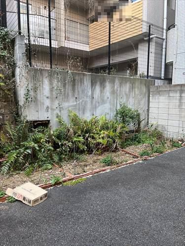 駐輪場・バイク置場　2025.3撮影