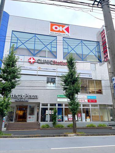 オーケー青葉台店まで790m