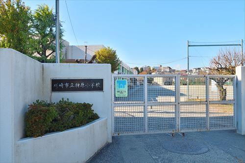 川崎市立稗原小学校まで1050m