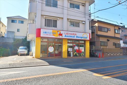 上原どうぶつ病院まで170m