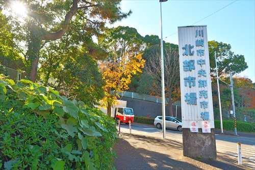 川崎市中央卸売市場北部市場600m