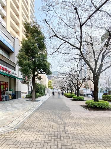 現地前歩道