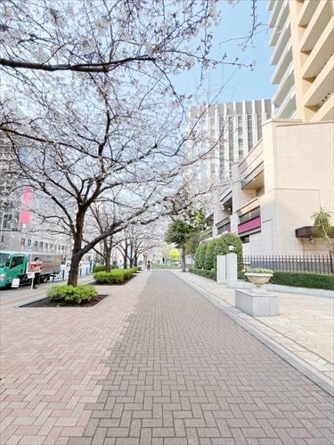 現地前歩道