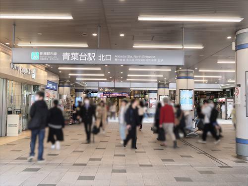 東急田園都市線「青葉台駅」徒歩17分