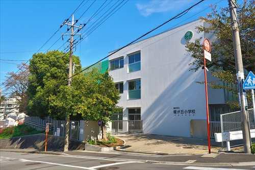 横浜市立榎が丘小学校まで840m