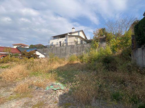 東側敷地-2(2025年11月撮影)