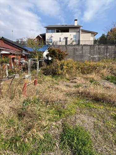 北側境界付近 (2025年11月撮影)