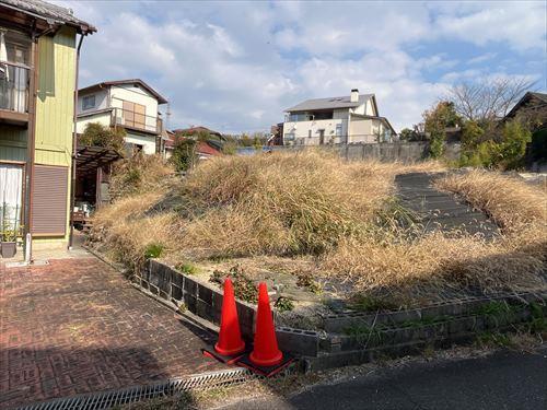 北西側境界付近 (2025年11月撮影)