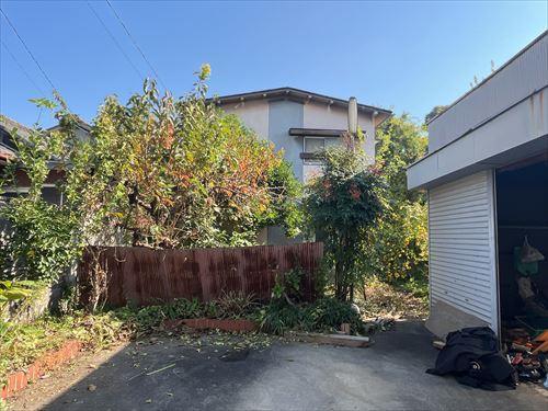 現地-5 (2025年11月撮影）