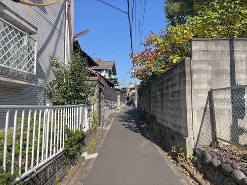 前面道路(南側から撮影)-3
