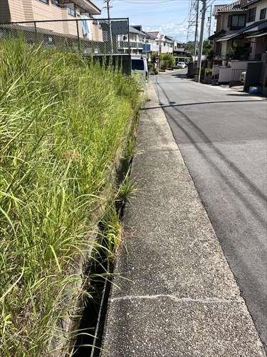 前面道路-3（2025年9月撮影）