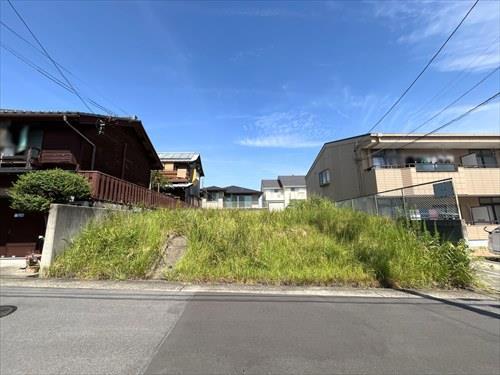 現地-1（2025年9月撮影）