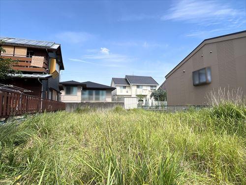 現地-4（2025年9月撮影）