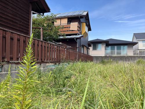 現地-5（2025年9月撮影）