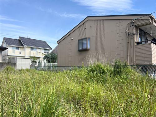 現地-6（2025年9月撮影）