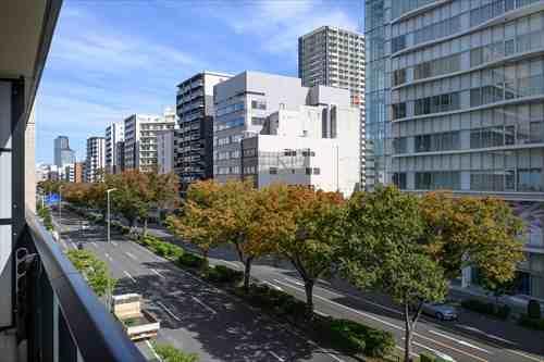 東側バルコニーからの眺望