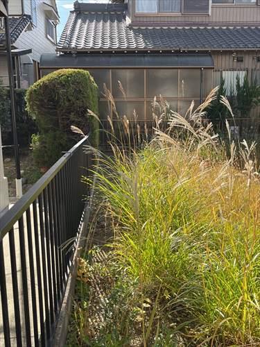 南東側境界付近(2025年12月撮影)2