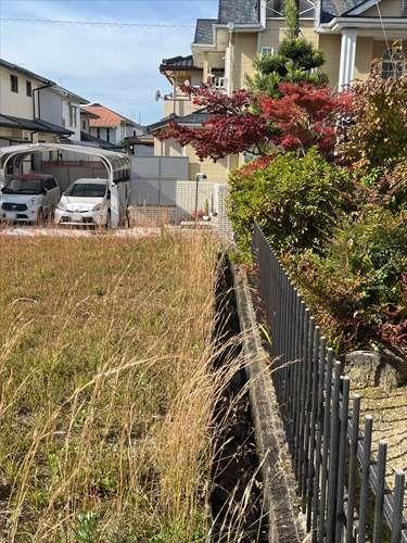 北東側境界付近(2025年12月撮影)