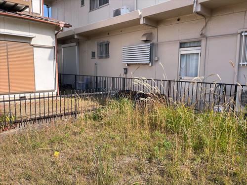 東側境界付近(2025年12月撮影)