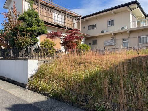 北側境界付近(2025年12月撮影)